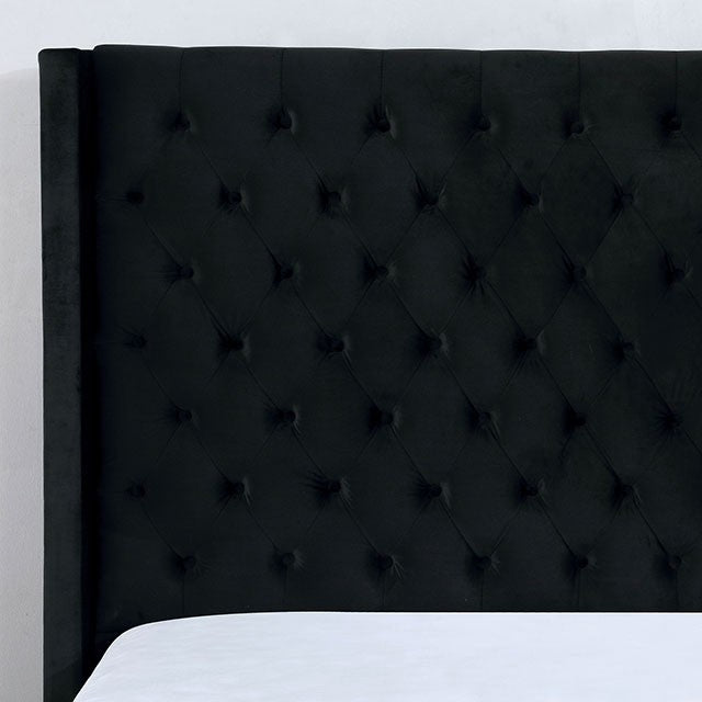 RYLEIGH BED