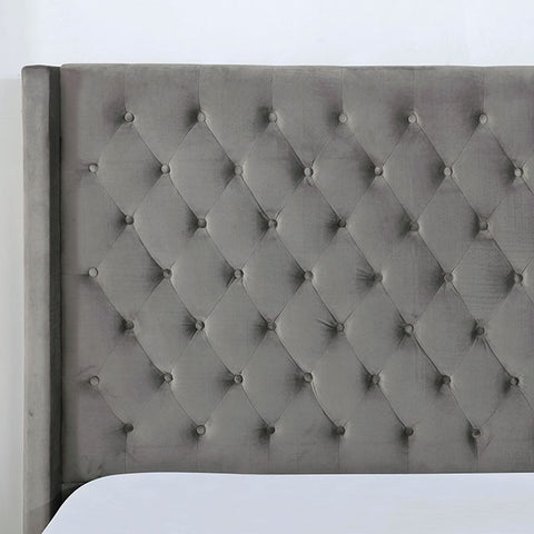 RYLEIGH BED