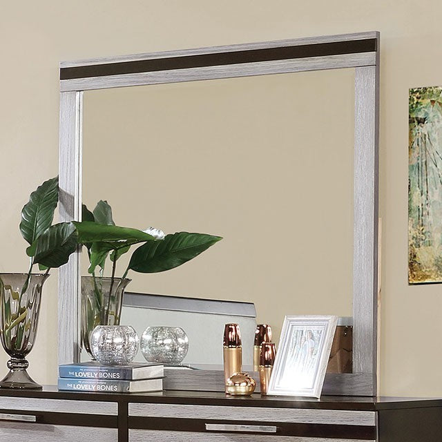 EUCLID MIRROR