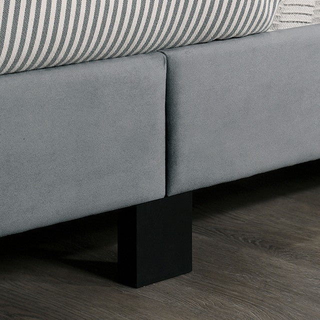 JENELLE BED