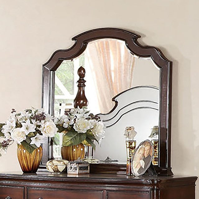 DEVONSHIRE MIRROR