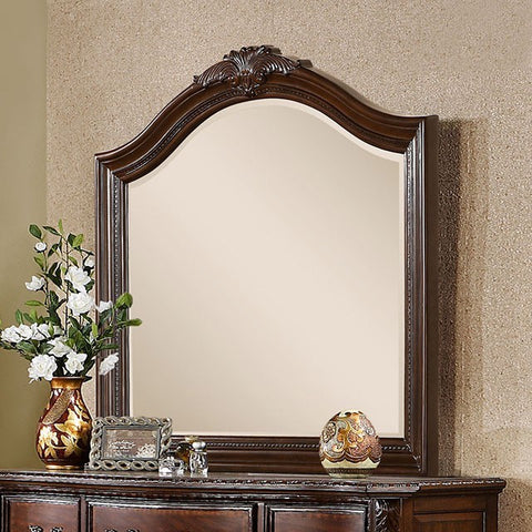 MONTE VISTA MIRROR