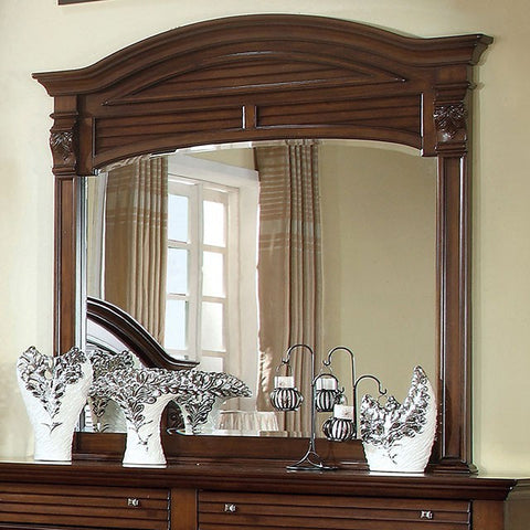 DARIUS MIRROR