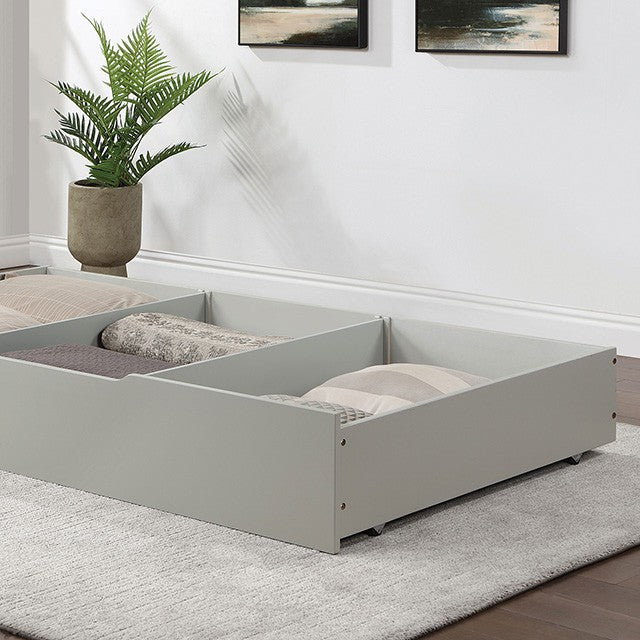 LYCORIS TRUNDLE/DRAWER