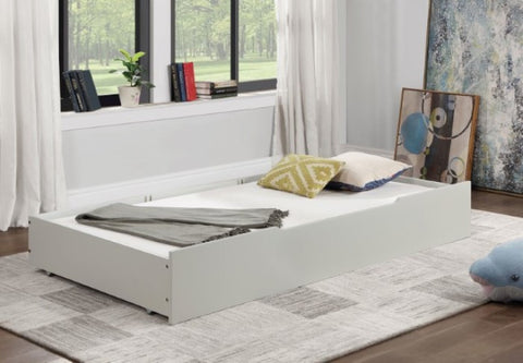 LYCORIDA TRUNDLE/DRAWER
