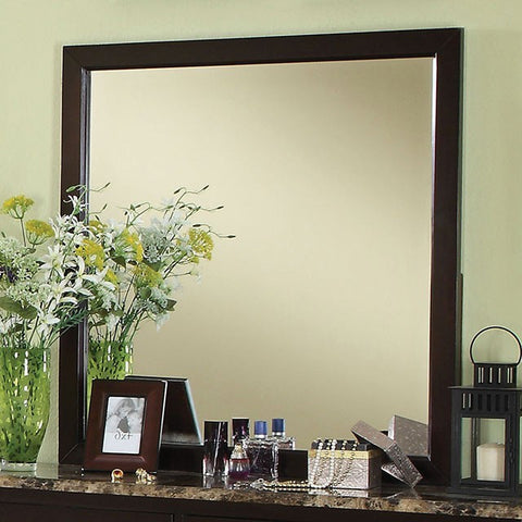 LEMOORE MIRROR