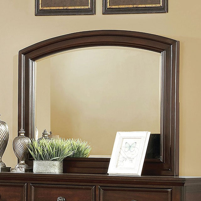 CASTOR MIRROR