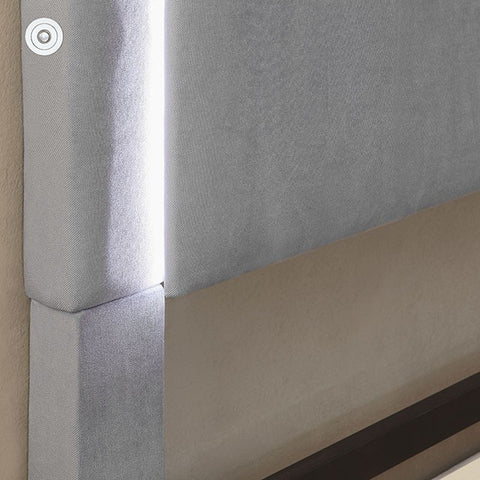 Erglow Bed Model Cm7695Gy-Twin Bed, Gray By Furniture Of America 