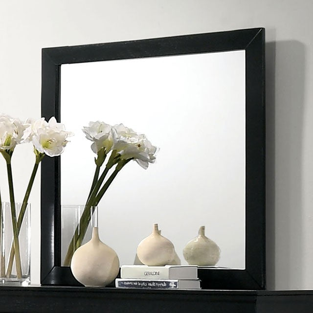 LOUIS PHILIPPE MIRROR