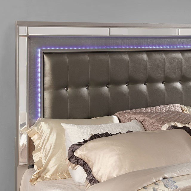 BRACHIUM BED