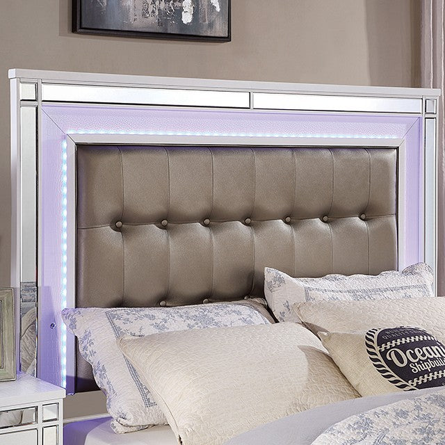 BRACHIUM BED