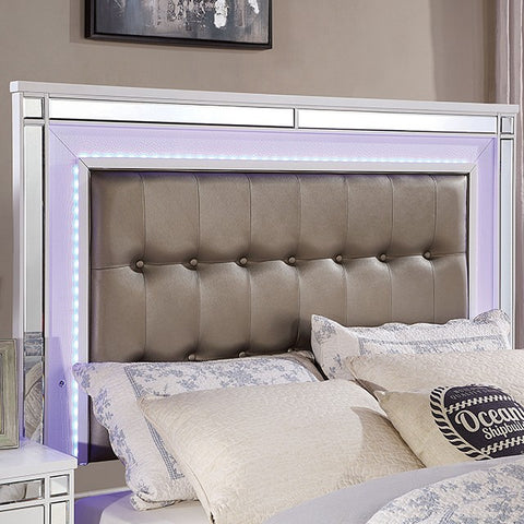 BRACHIUM BED