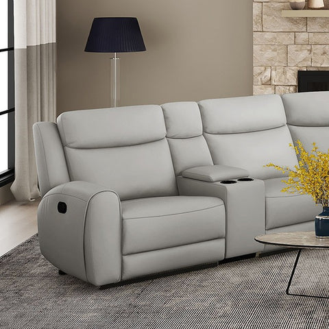 JACOBUS MOTION SECTIONAL