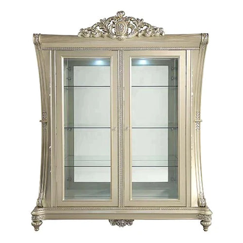 Vatican Champagne Silver Finish Curio Model DN00470 By ACME Furniture