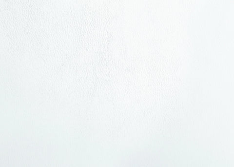 Palton White PU & Chrome Finish Side Chair Model DN00733 By ACME Furniture