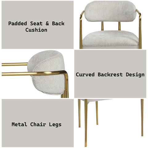 ACME Zayn Beige Chenille Gold Arm Chair (Set-2) Model DN04206
