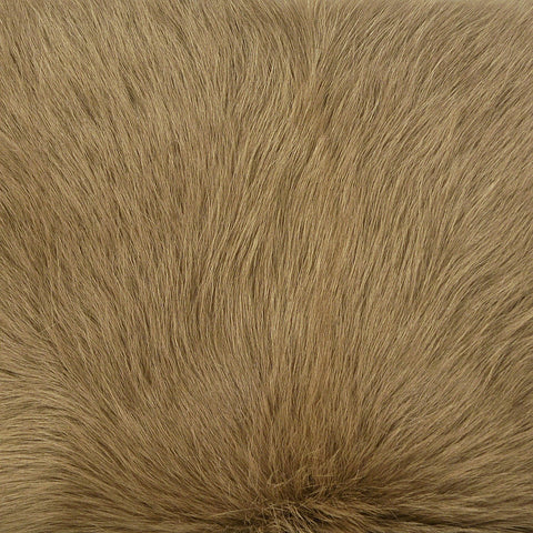 Shams Taupe Pillow
