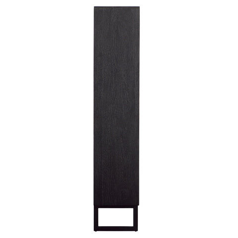 Moblin Matte Black Finish Cabinet