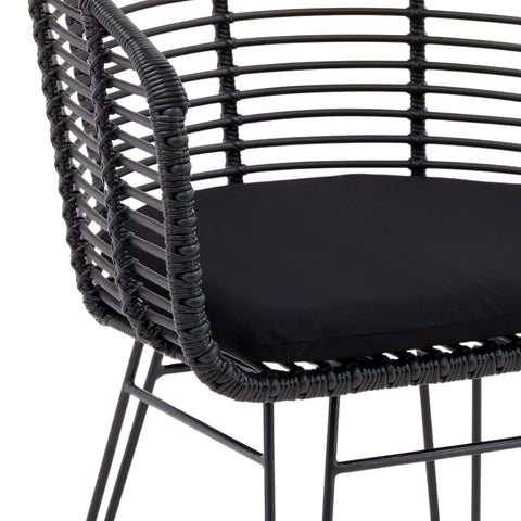 Ishani Black Finish Outdoor Dining Chair Set Of 2