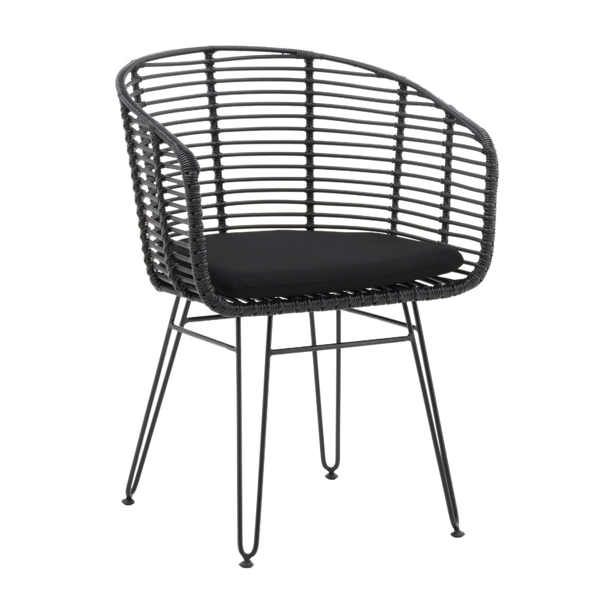 Ishani Black Finish Outdoor Dining Chair Set Of 2