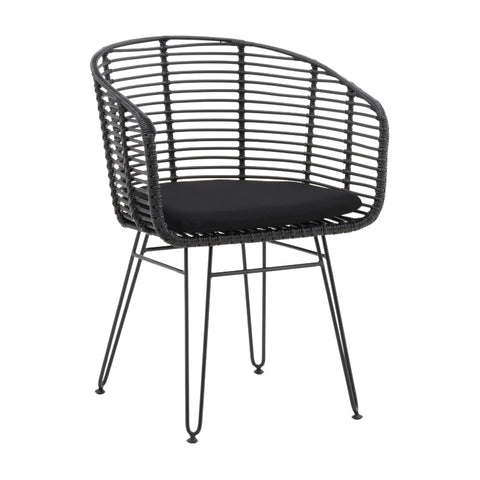 Ishani Black Finish Outdoor Dining Chair Set Of 2