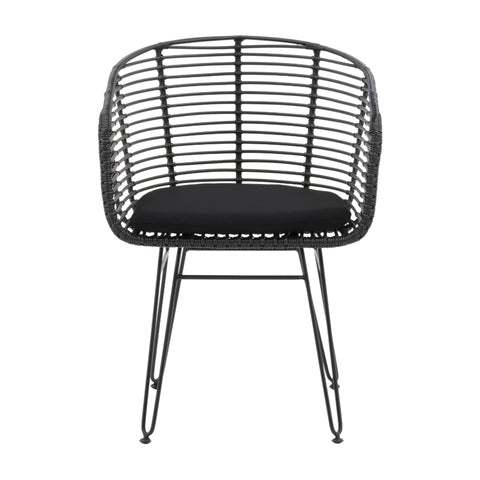 Ishani Black Finish Outdoor Dining Chair Set Of 2