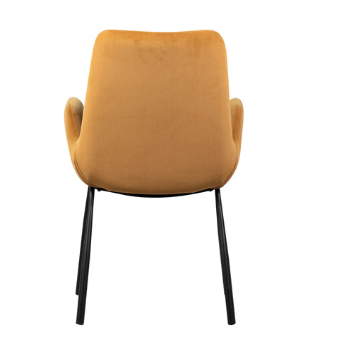 Venice Mustard Upholstery and Black Metal Legs Dining Chair