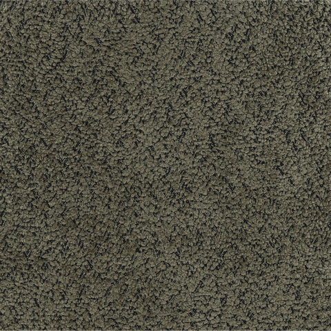 Cathey Olive Dining Chair Set Of 2