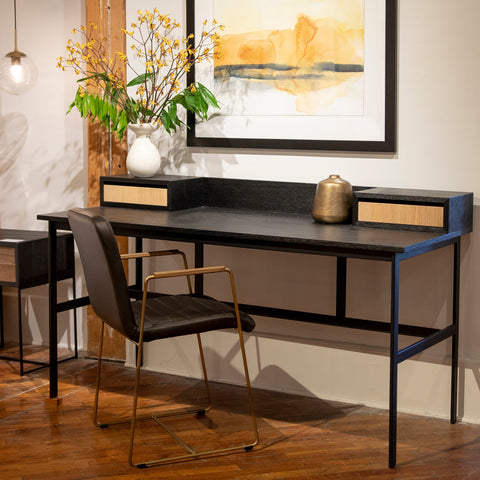 Turner Black Leather and Brass Metal Finish Dining Chair