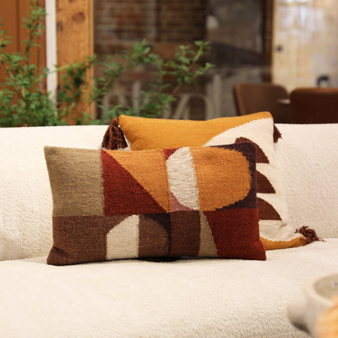 Alenid Multicolor Pillow