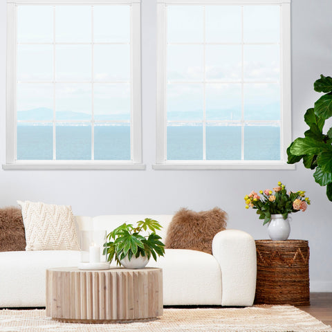 Webster Light Warm Wash Coffee Table