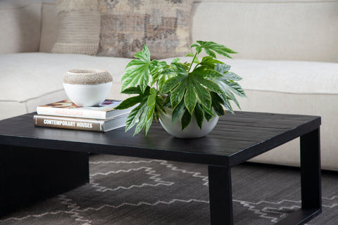 Mika Antique Black Wood And Iron Finish Coffee Table
