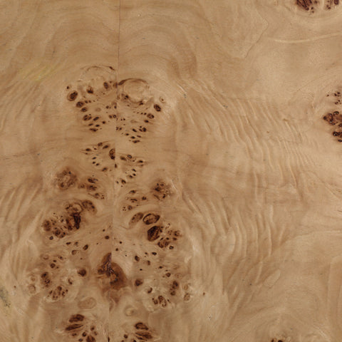 Paulette Natural Burl Coffee Table