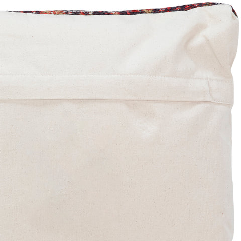 Banas Multicolor Pillow