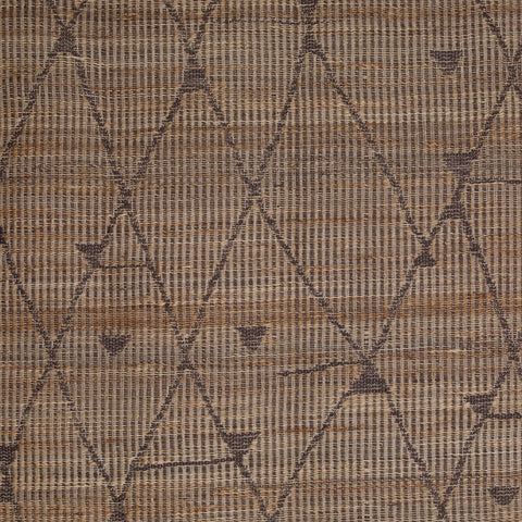 Zuniga Brown and Natural Rug