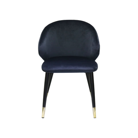 Modrest Elon Modern Blue Velvet Dining Chair (Set of 2) By VIG Furniture