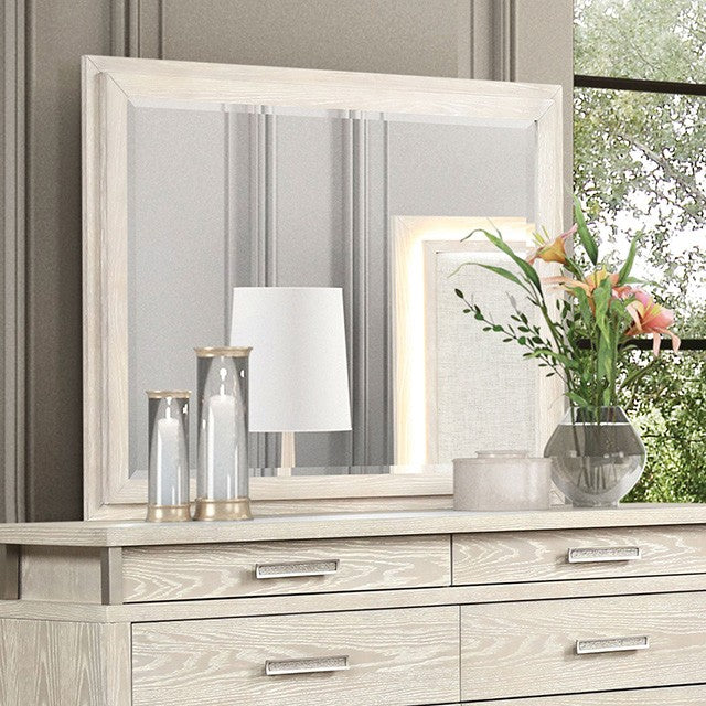 LAFAYETTE MIRROR