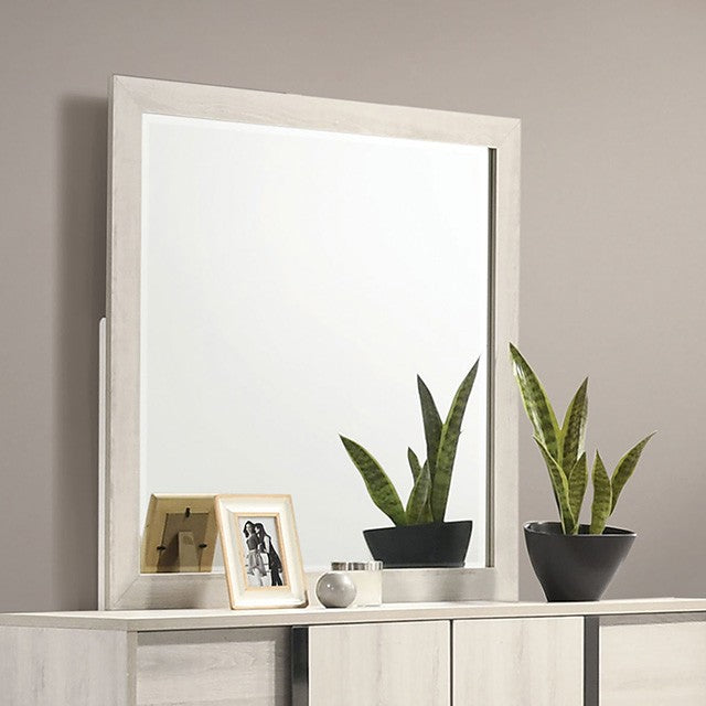 HORTEN MIRROR