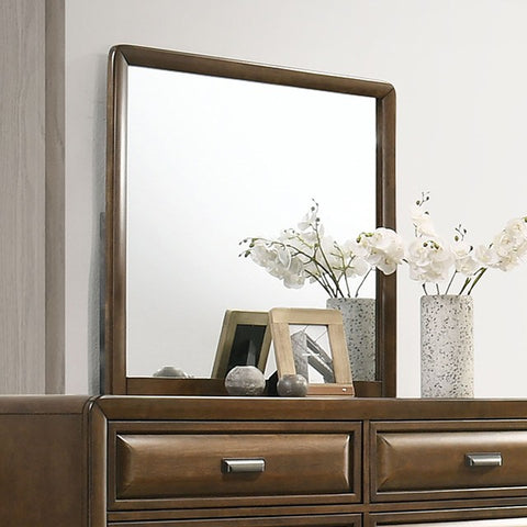 CAERWYS MIRROR