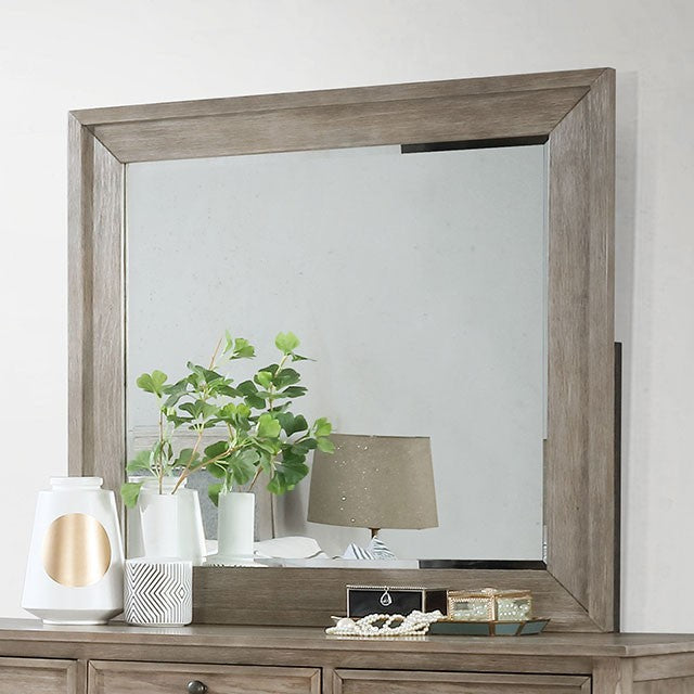 ANNEKE MIRROR