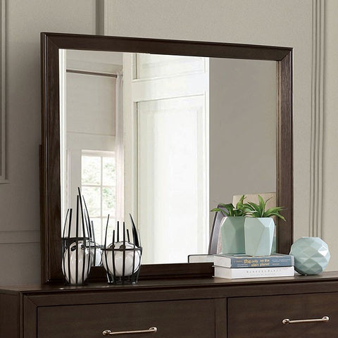 JAMIE MIRROR