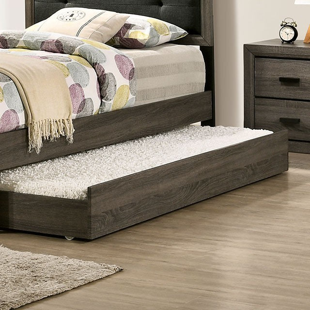 ROANNE TRUNDLE