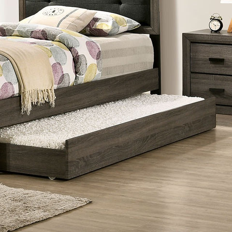 ROANNE TRUNDLE