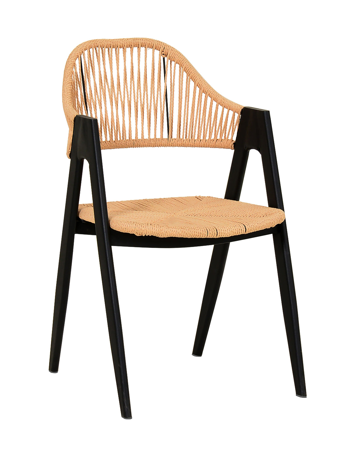 Modrest Gayle Modern Rattan Dining Chair Set of 2