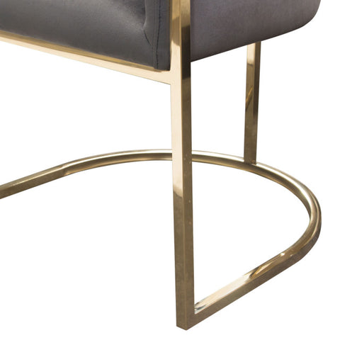 Pandora Dining Chair in Grey Velvet with Polished Gold Frame By Diamond Sofa
