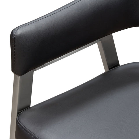 Adele 2 Accent Chairs, Black By Diamond Sofa