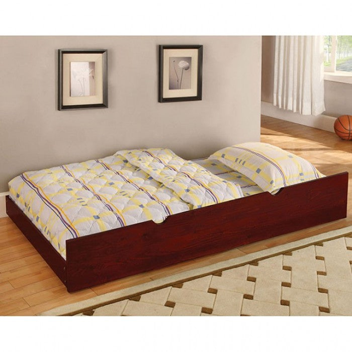 OMNUS TRUNDLE