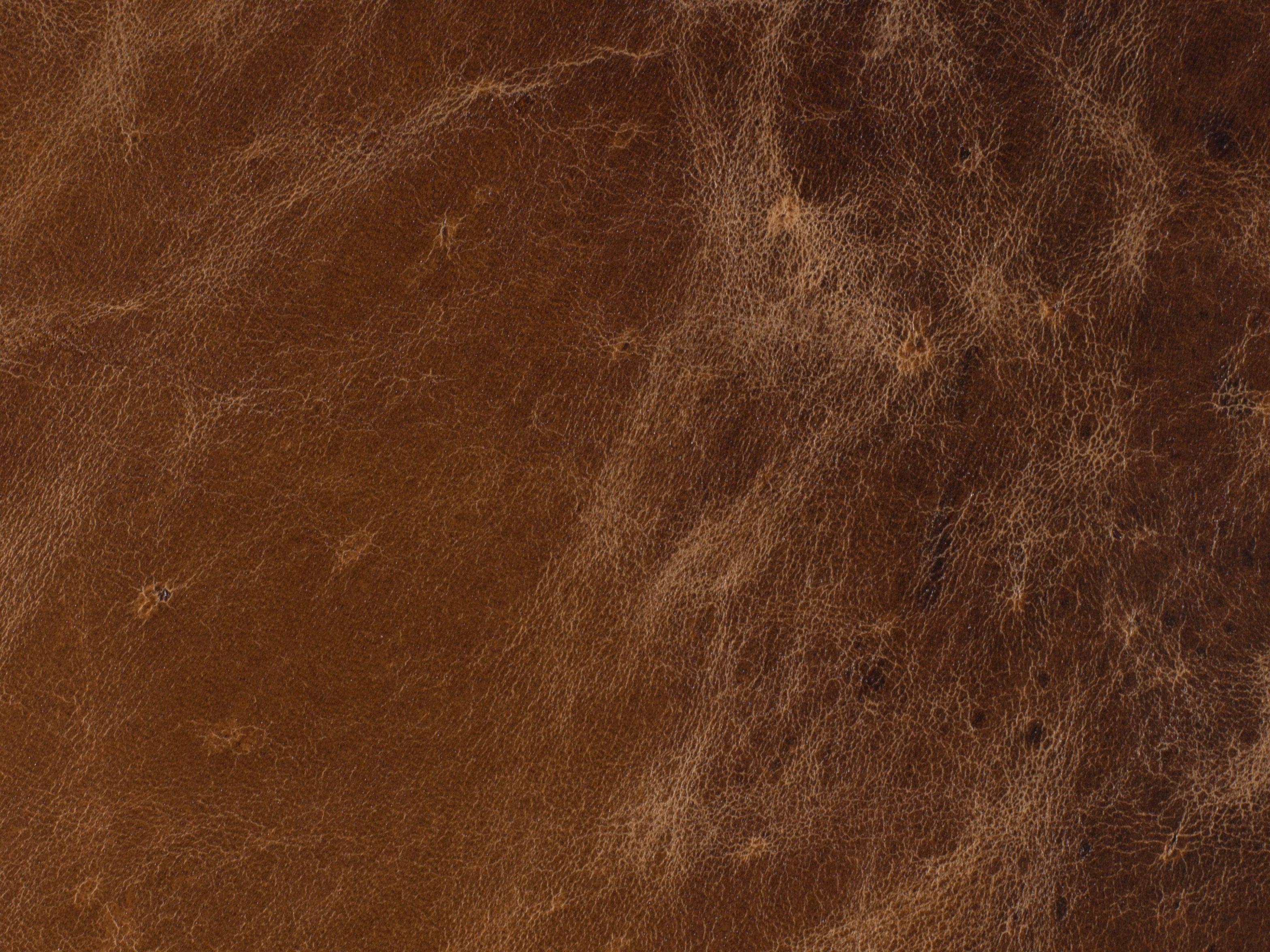 Hooker Furniture Home Office Barker Executive Swivel Tilt Chair