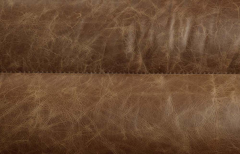 Rafer Cocoa Top Grain Leather Sofa Model LV01020 By ACME Furniture