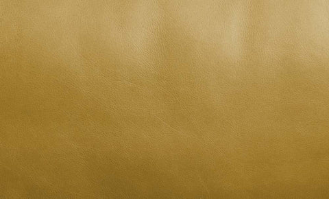 ACME Radia Turmeric Top Grain Leather Radia Sofa Model LV01022